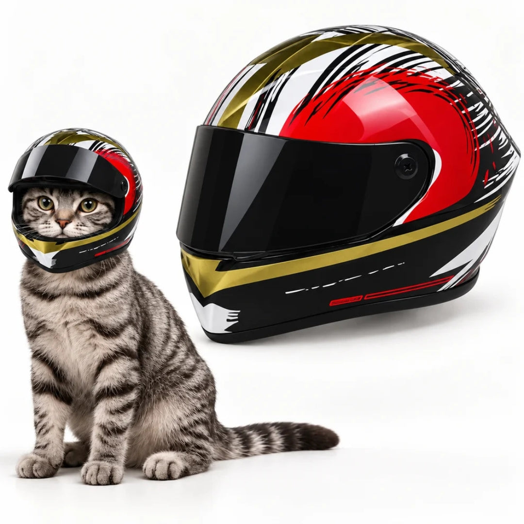 Casco de moto para gatos con visor