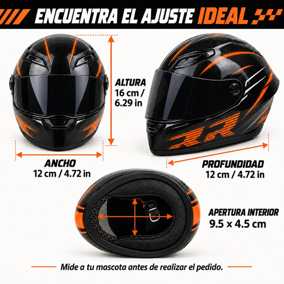 Casco de moto para gatos con visor
