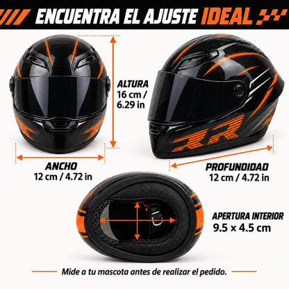 Casco de moto para gatos con visor